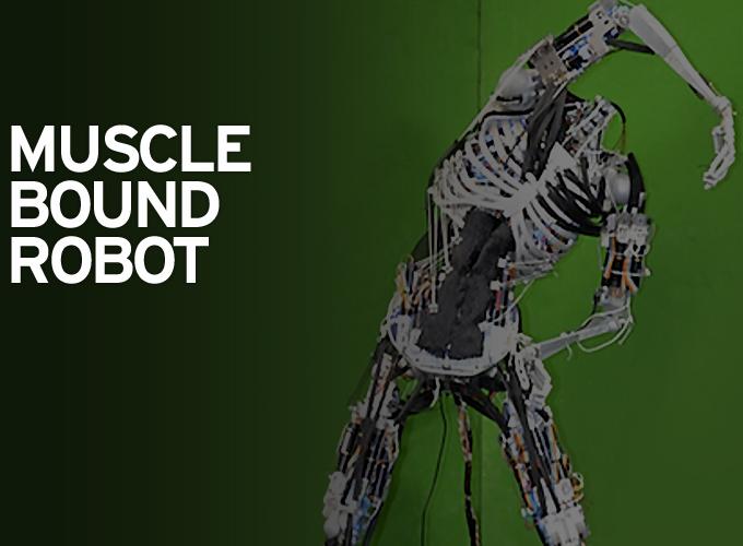 Muscle Bound Robot