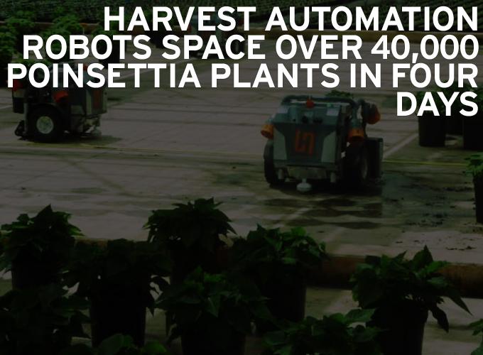 Harvest Automation Robots Space Over 40,000 Poinsettia Plants in Four Days 