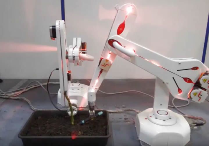 Case Study - Asparagus Picking Agricobot