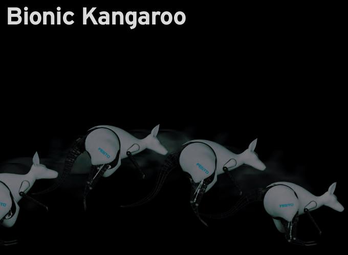 Bionic Kangaroo