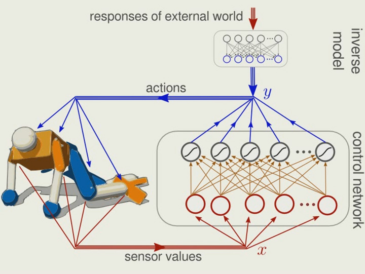 Sensorimotor intelligence outlet