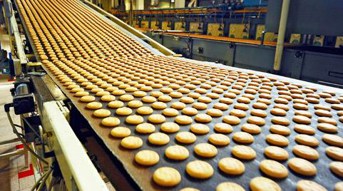 Food processing hot sale robots