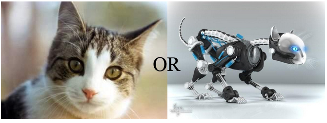 Robotic cats and dogs discount
