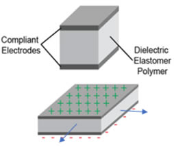 A diagram of a structureDescription automatically generated