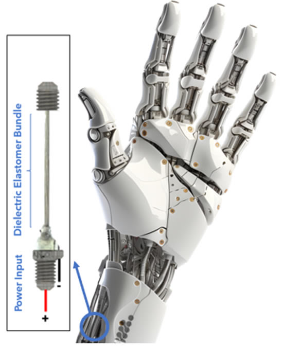 A close-up of a robot handDescription automatically generated