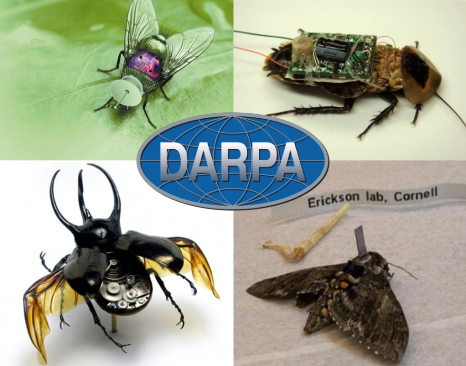 Robotic insects technology top